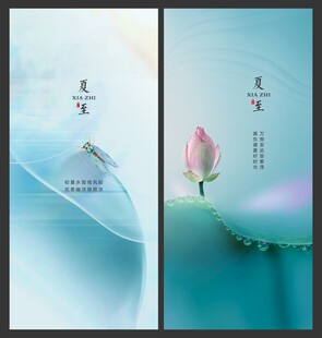 夏至 荷花
