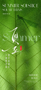 夏日夏至绿叶主题创意设计