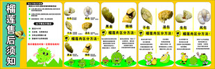 榴莲售后服务