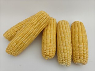 玉米