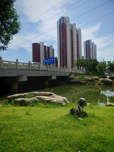 城市河畔绿地休闲景象