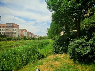 城郊绿意盎然的自然景致