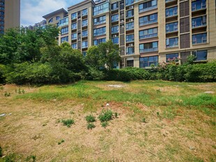 小区旁荒废草地