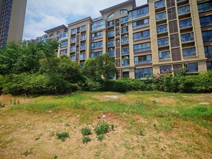 小区旁的草地与多层建筑