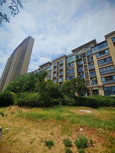 城郊住宅区景观