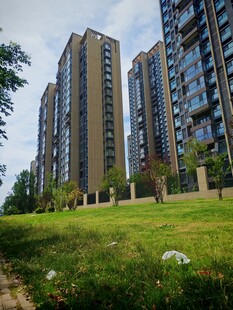 城市中的高层住宅与绿地