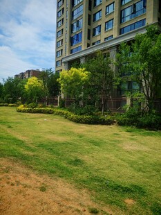 小区旁的绿地与高楼景观