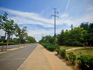 城郊林荫路