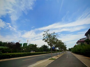 宽阔道路旁的蓝天绿树