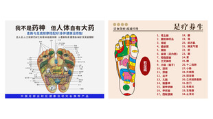 足部反射区图展示