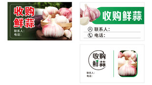 大蒜收购名片 海报展示