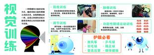 视觉训练相关知识展示