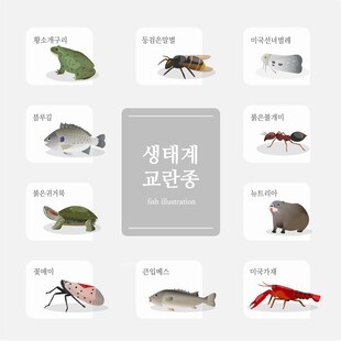 常见池塘小生物 