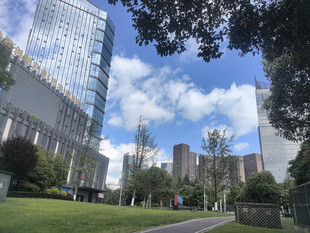 城市中的绿地与高楼景观