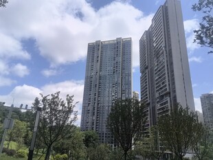 城市高楼与绿树景观