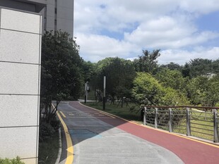 校园彩色步道风景