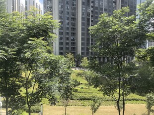 城市中绿意盎然的居住环境