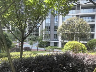 城市中绿意盎然的建筑景观
