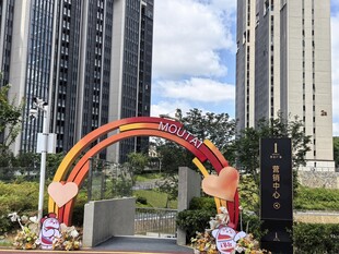 小区入口彩虹拱门装饰