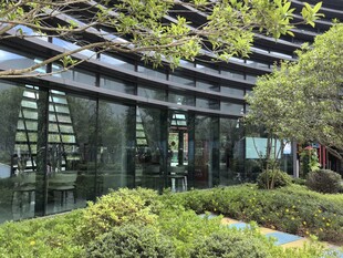 现代玻璃建筑旁的绿植景观