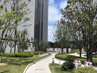 城市中绿意盎然的休闲小径