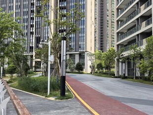 现代小区景观道路场景