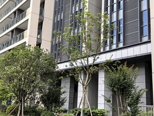 现代建筑旁的绿植景观