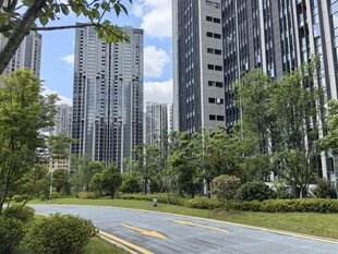 城市林荫大道旁的高楼