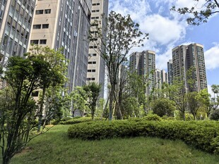 城市中的绿意盎然景观