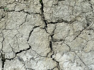 干裂的土地