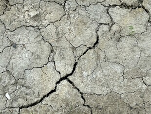 干裂土地纹理特写