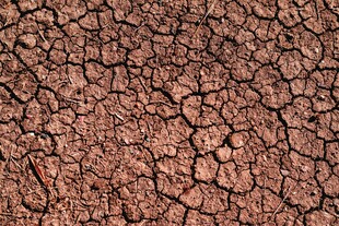 干裂的红褐色土地