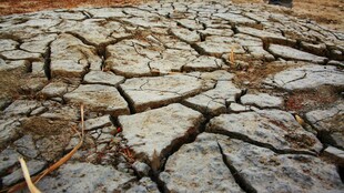 干裂土地