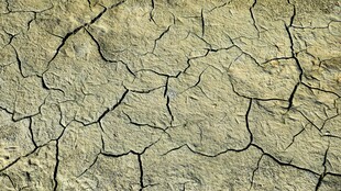 干裂的土地纹理
