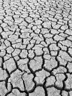 干裂土地纹理特写