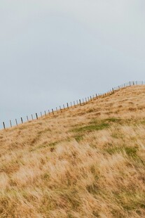 山坡上的草地与围栏