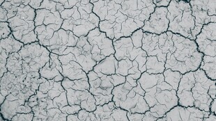 干裂土地纹理特写