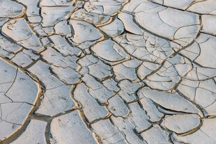 干裂土地纹理特写
