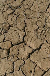 干裂的大地