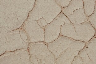 干裂土地纹理特写