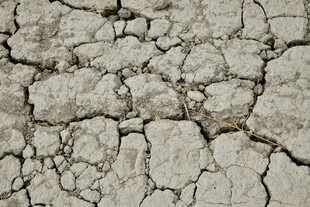 干裂的土地纹理