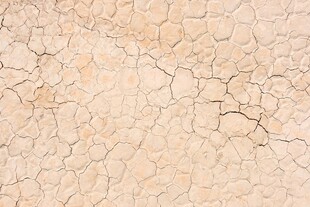 干裂的米色墙面纹理