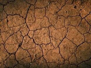 干裂的土地