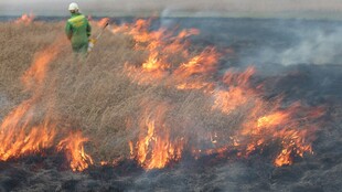 消防员身处熊熊燃烧的火场