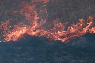 山间熊熊燃烧的火焰