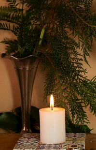 烛光绿植营造温馨氛围