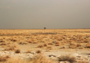 广袤沙漠中的孤独景象