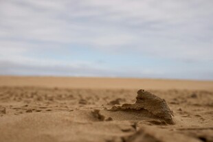 沙漠中的孤独岩石景观