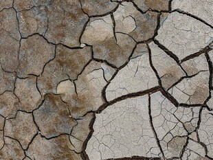 干裂土地纹理特写