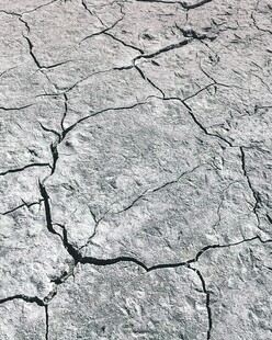 干裂的地面纹理